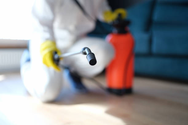 Best Basement Mold Removal  in Tyrone, PA