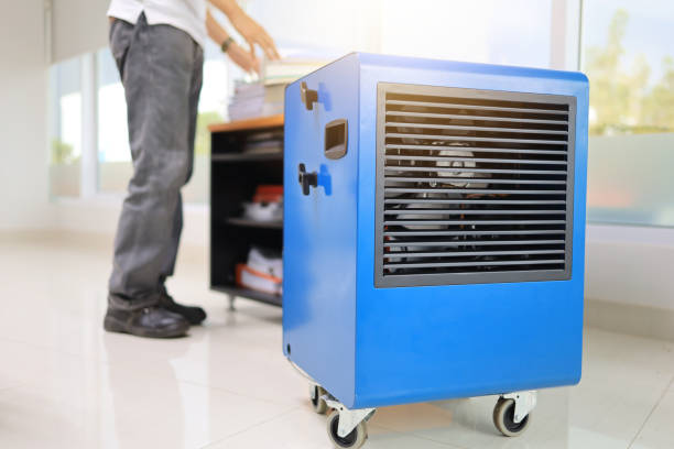 Professional Mold Removal in Tyrone, PA